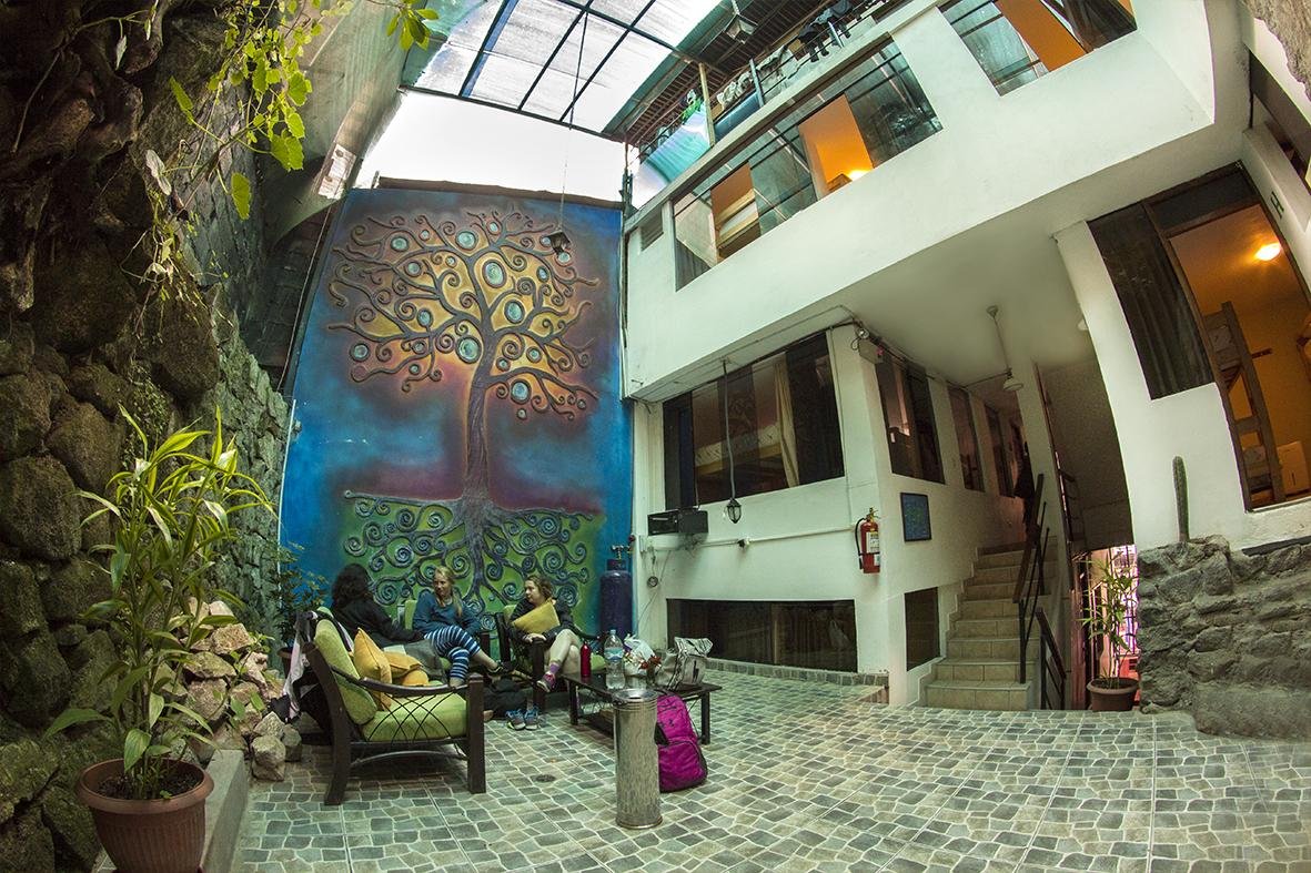 Ecopackers hostel by null