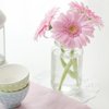 Gerbera p