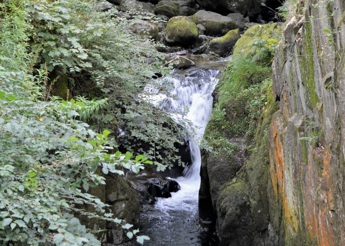 River above the force