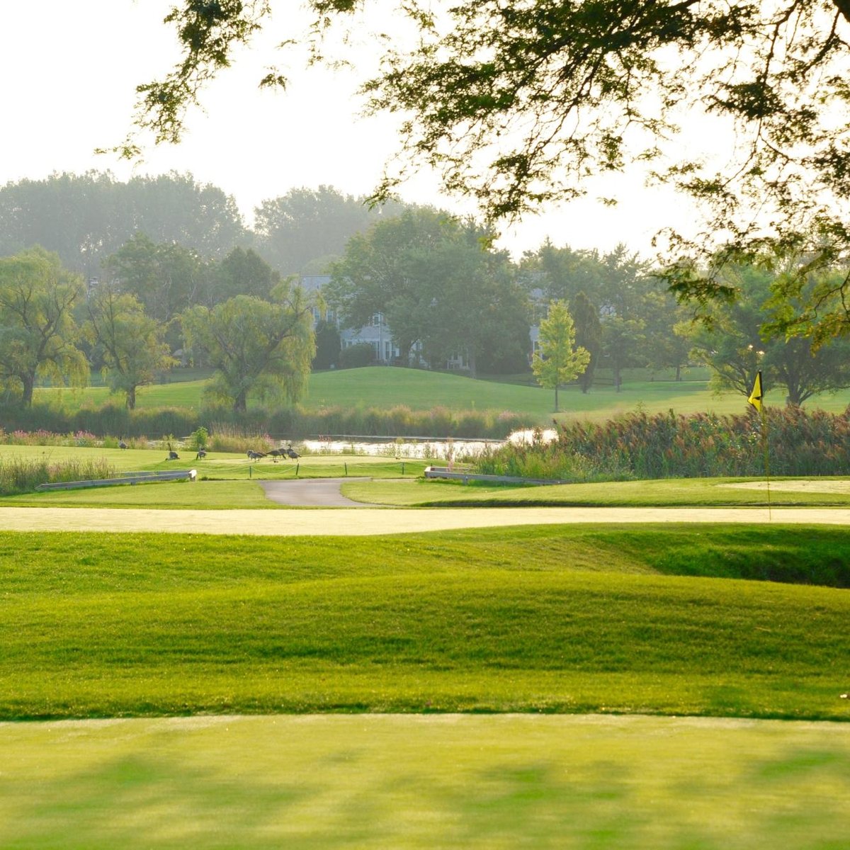 FOX RUN GOLF LINKS (Elk Grove Village) Tutto quello che c'è da sapere