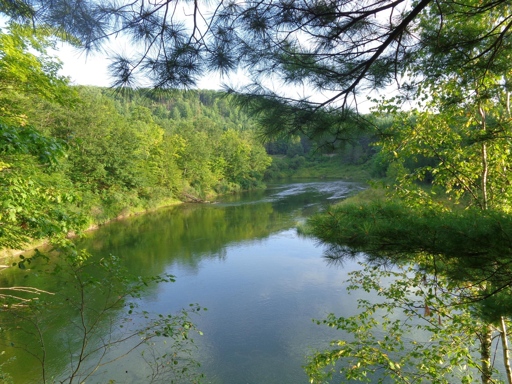 PIER 31 MARINA AND CAMPGROUND Reviews Manistee MI   Manistee River 