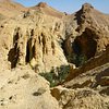 Top 8 Hiking & Camping Tours in Kebili Governorate, Kebili Governorate