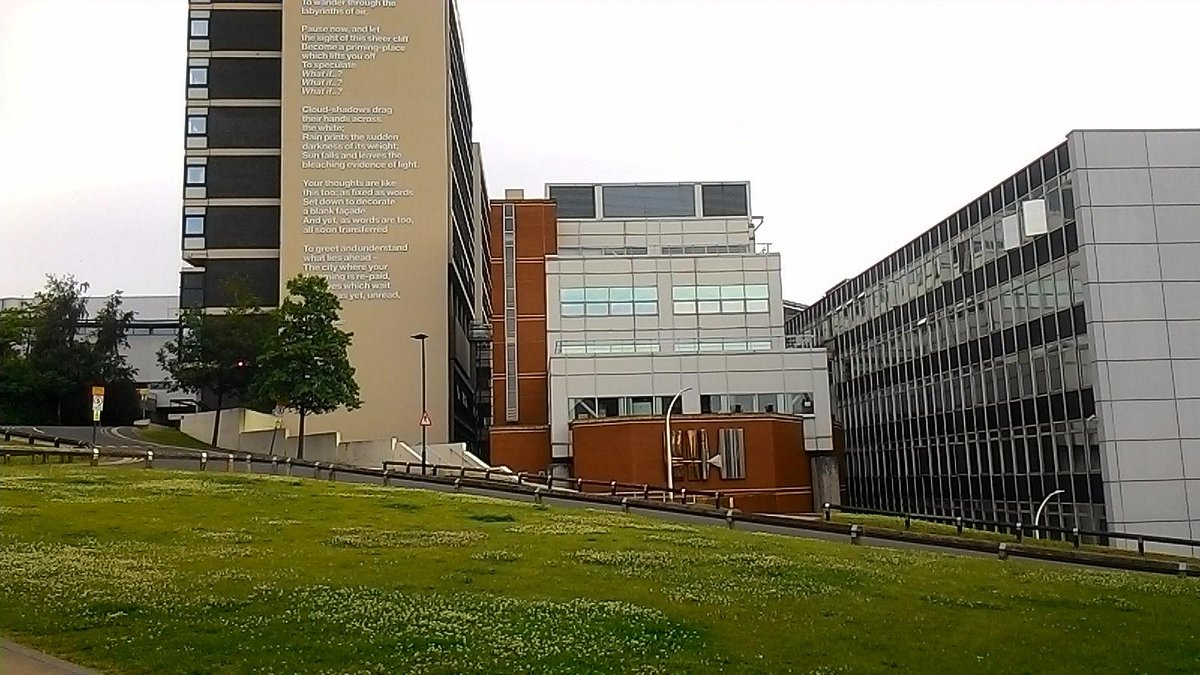 Sheffield university