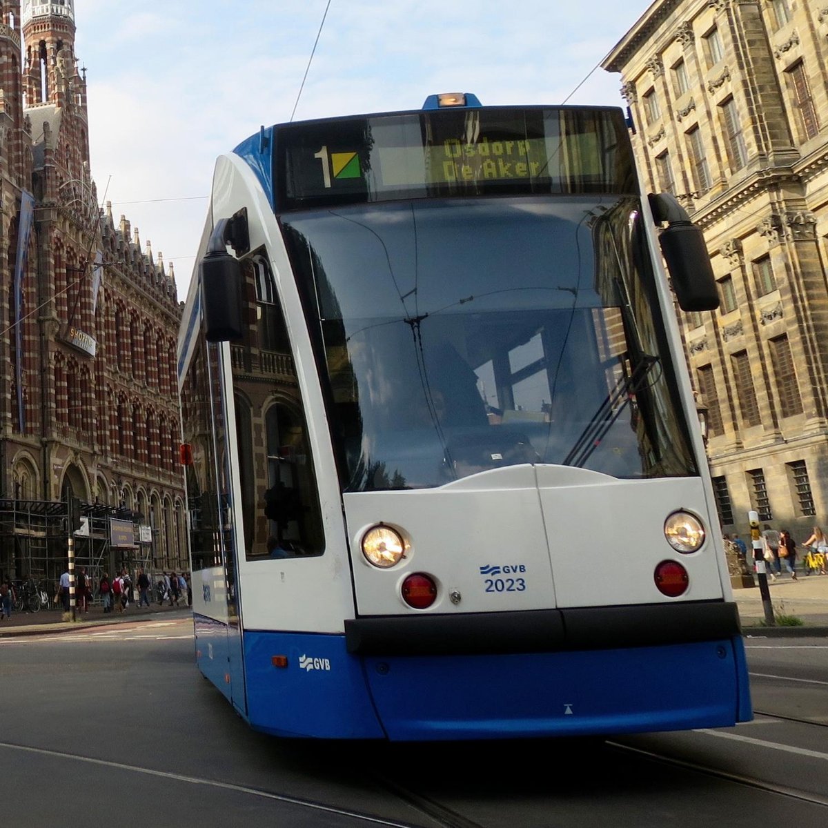 are dogs allowed on trams in amsterdam