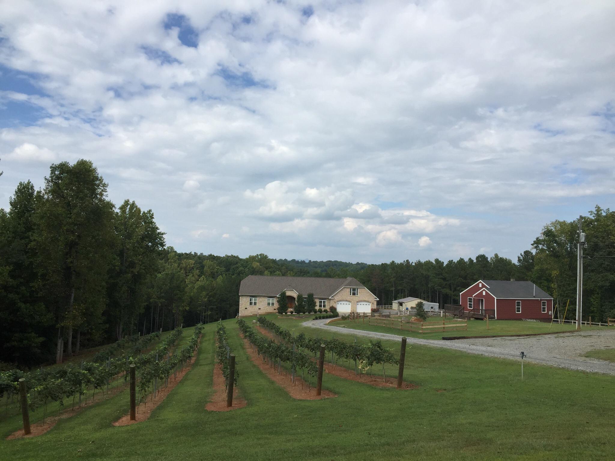 Carolina vineyard shop