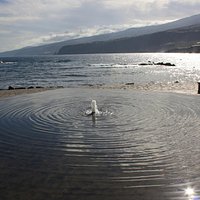 Playa Martianez
