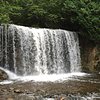 Things To Do in Hoggs Falls, Restaurants in Hoggs Falls