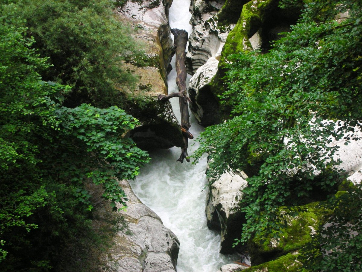 La guida turistica di Fier