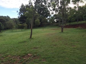 NAIBERI RIVER CAMPSITE & RESORT - Prices & Lodge Reviews (Eldoret, Kenya)