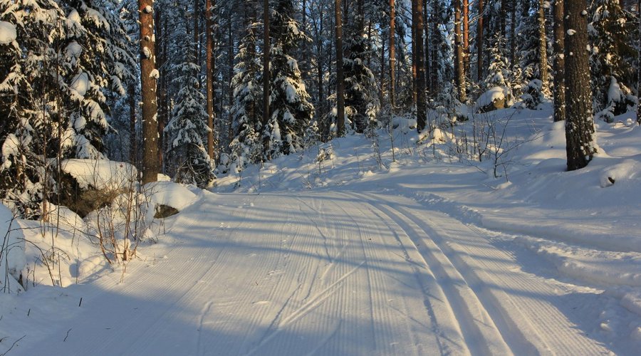 Classic and skating skiing in forest in Tervalepikon Torpat.