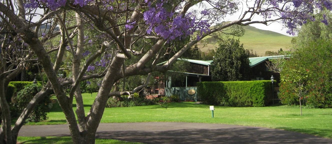 THE 10 BEST Hotels In Waimea, HI For 2022 (from $40) - Tripadvisor