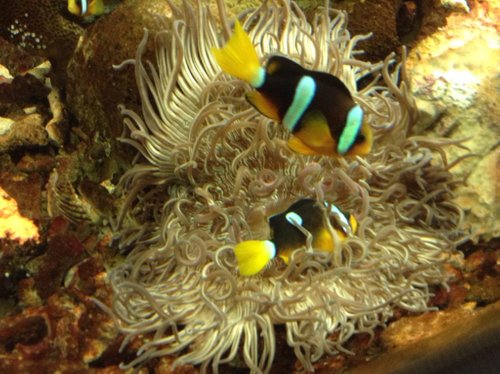 THE 5 BEST Kerala Aquariums (Updated 2023) - Tripadvisor