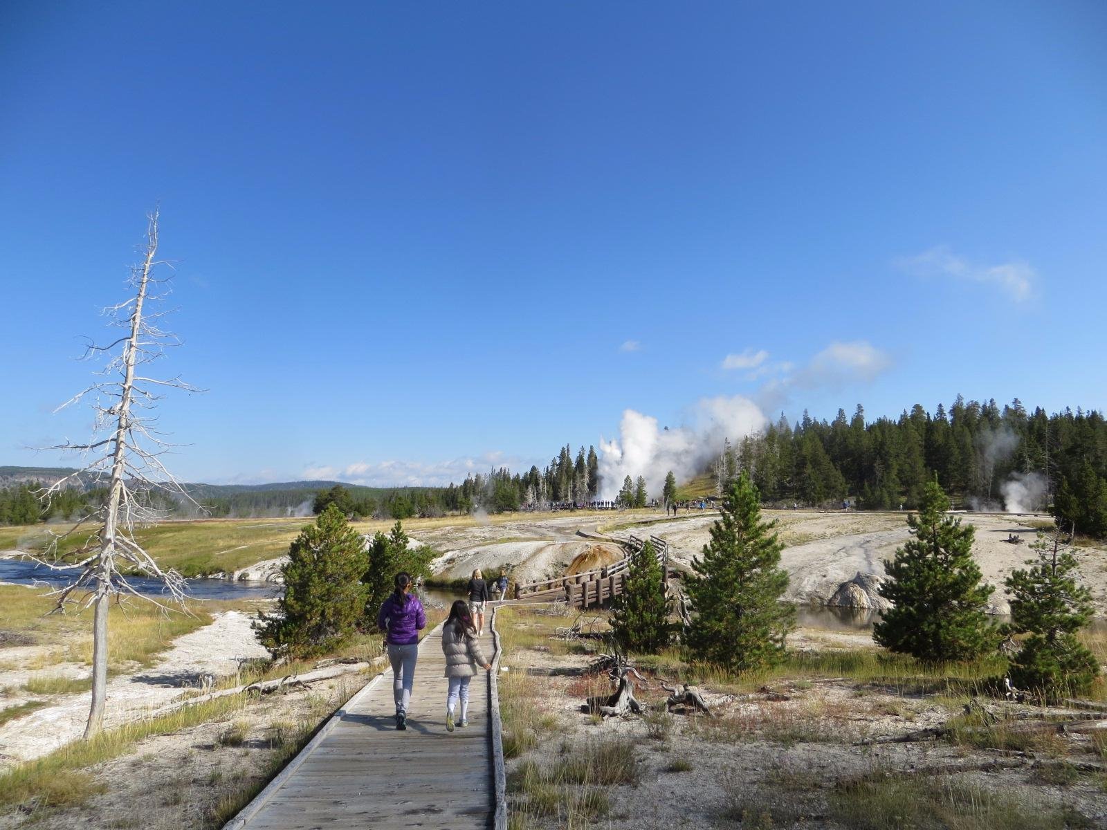 Grand Geyser (Parc National De Yellowstone) : 2023 Ce Qu'il Faut Savoir ...