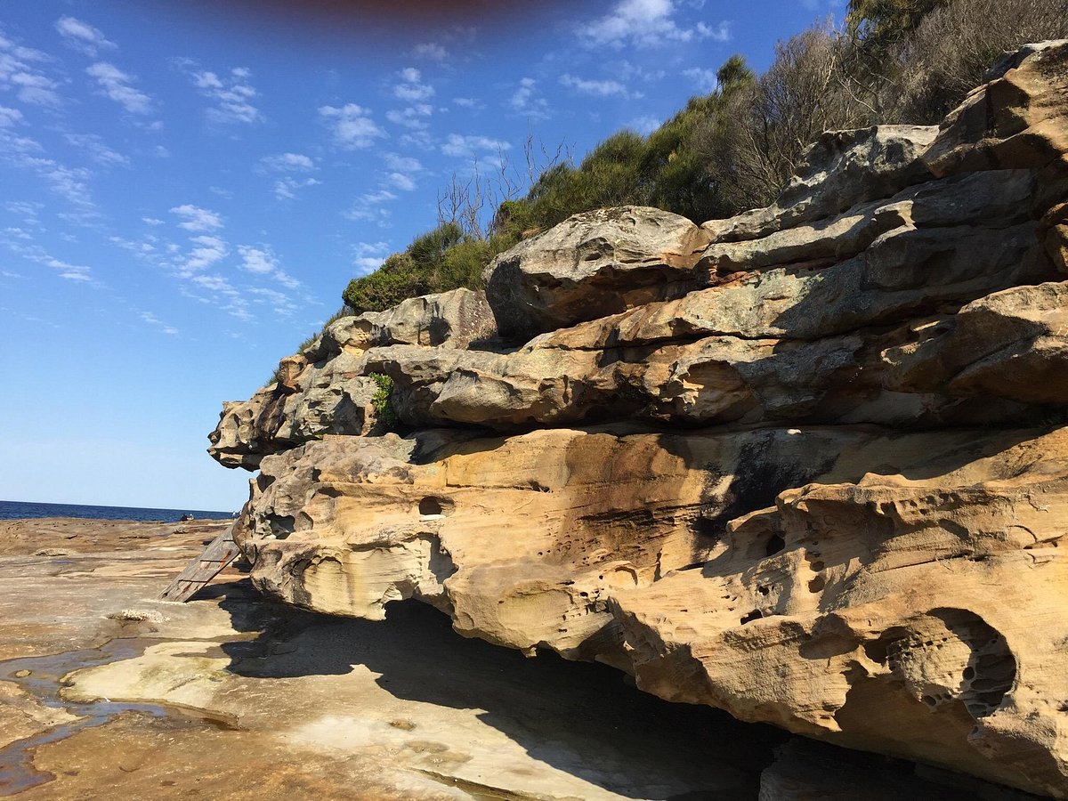 Kurnell To Cape Baily Walk Sydney All You Need To Know Before You Go