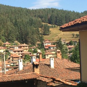 View from driveway