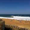 Things To Do in Go and Surf Labenne, Restaurants in Go and Surf Labenne