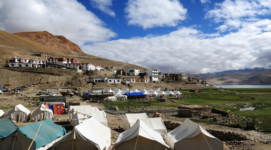 YAK CAMP Ladakh