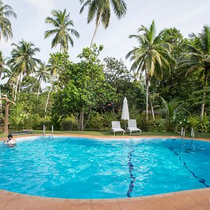 The Pool at the Dalmanuta Gardens - Ayurvedic Resort & Restaurant