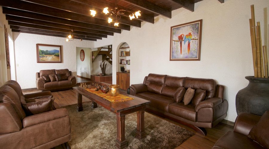 The living-room