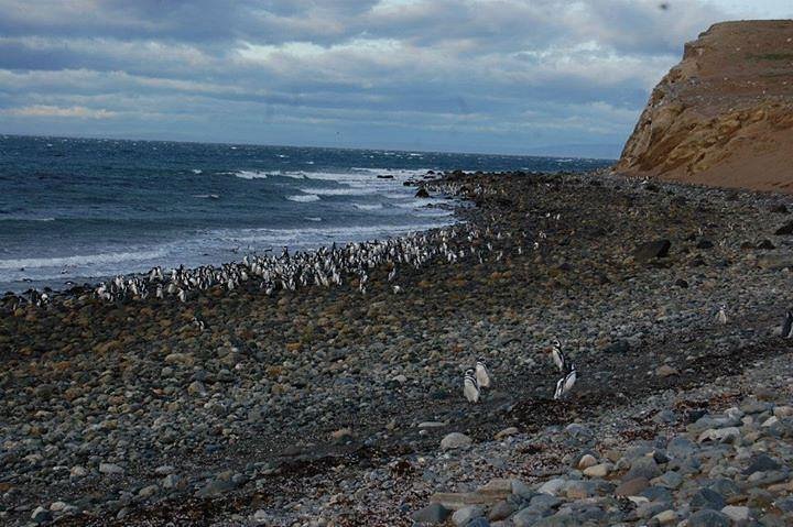 Monumento Natural Los Pinguinos image