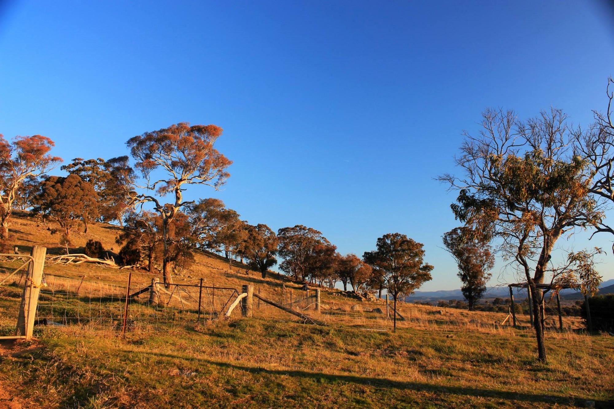 ROSEBUD HERITAGE B&B: Bewertungen & Fotos (Canberra, Australien ...