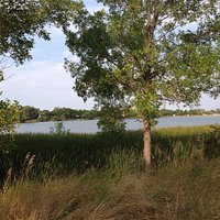 Walk Next To Lake