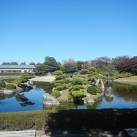 池