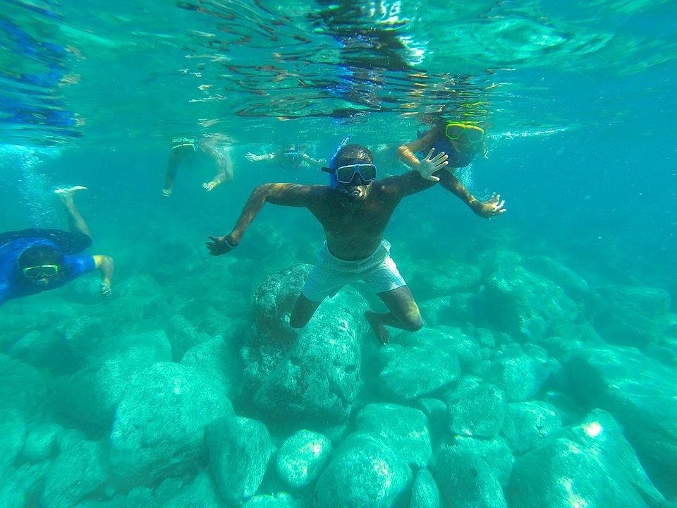 THE BEST 10 Snorkeling in WINDSOR, ON - Last Updated January 2024 - Yelp