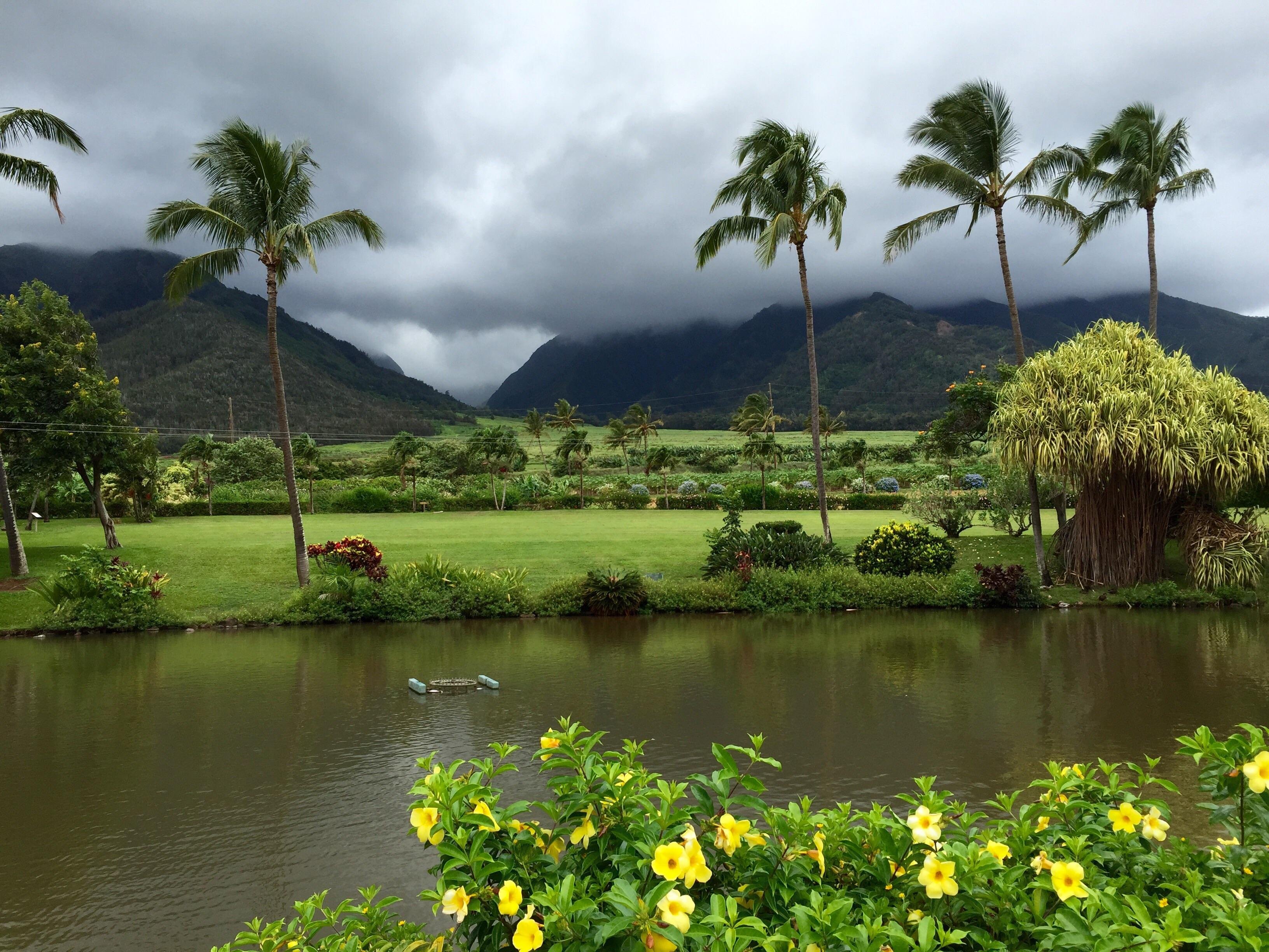 THE 15 BEST Things To Do In Maui 2024 Must See Attractions   Maui Tropical Plantation 