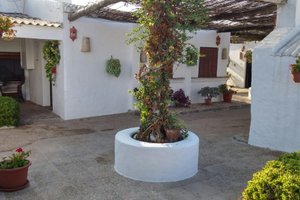 Habitaciones y suites