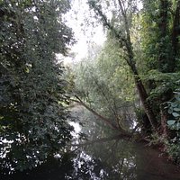 Canal