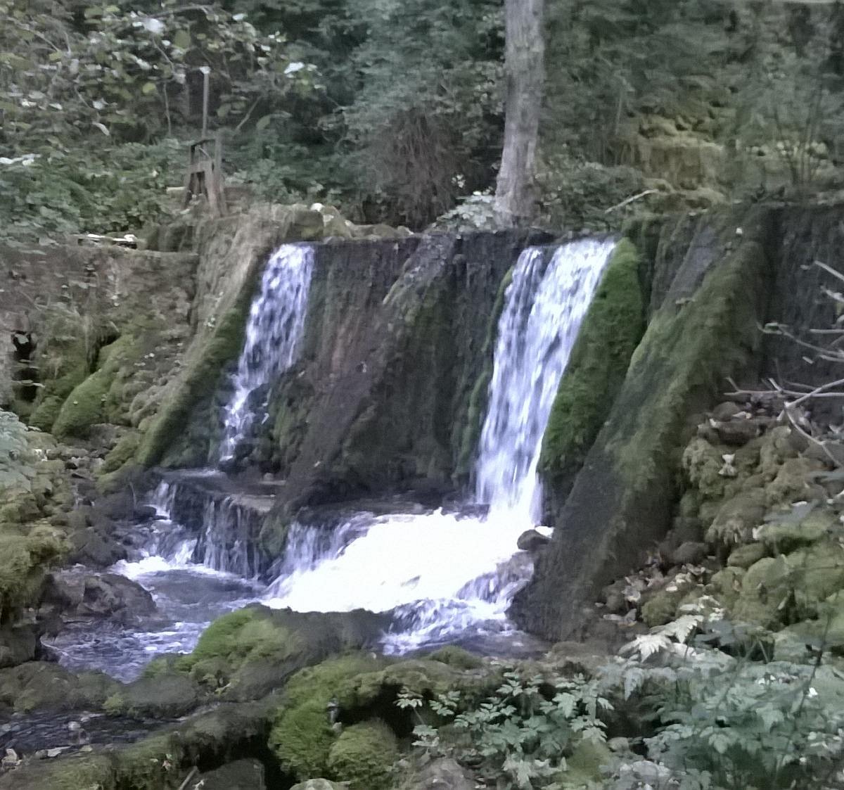 National Park Tara Tara National Park Aktuelle 2021 Lohnt Es Sich Mit Fotos Tripadvisor