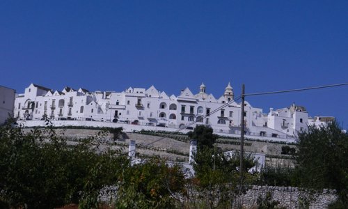 Panorama