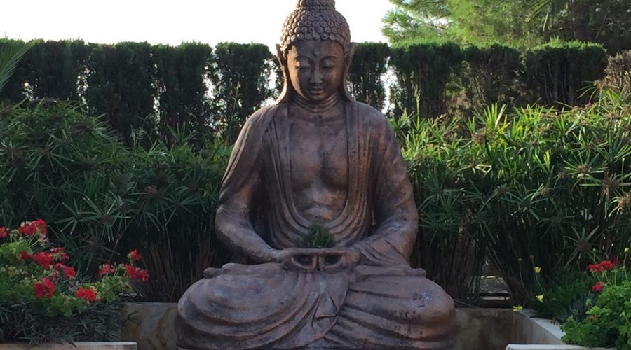 Buddha of the Ray Bans