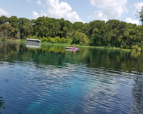 THE 15 BEST Things to Do in Silver Springs (2024)