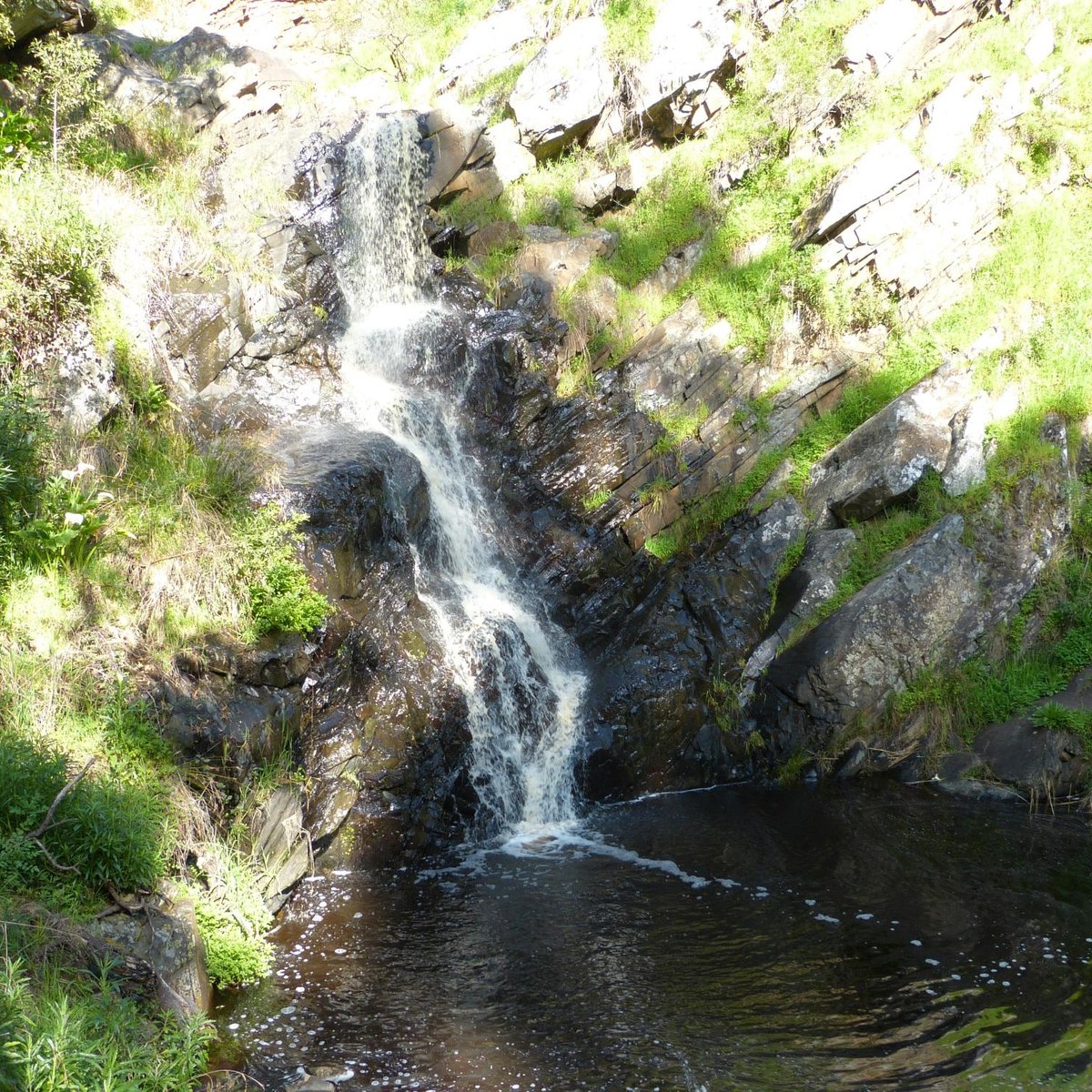 Ingalalla Falls (Normanville): All You Need to Know BEFORE You Go