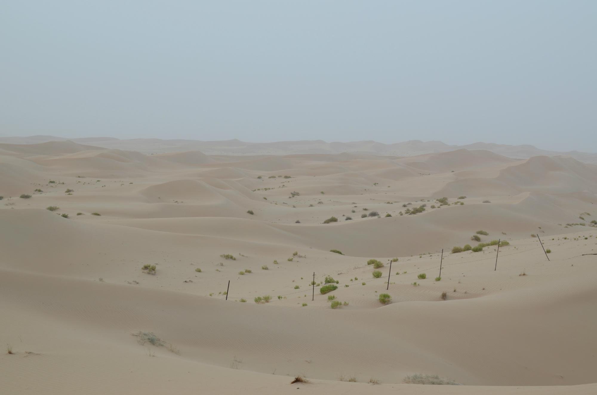 Abu Dhabi Desert Safari - All You Need to Know BEFORE You Go (2024)