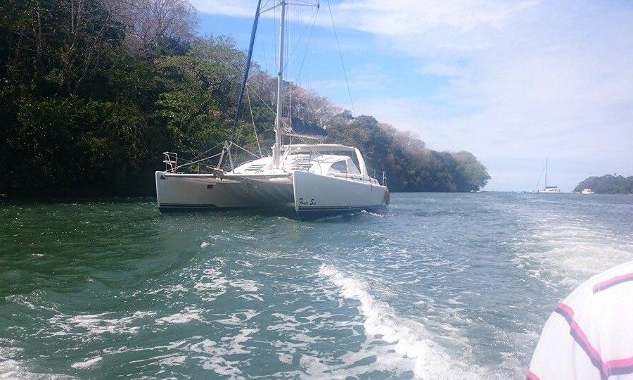 White Sand Tours image
