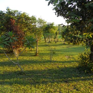 Veiw from the Deck