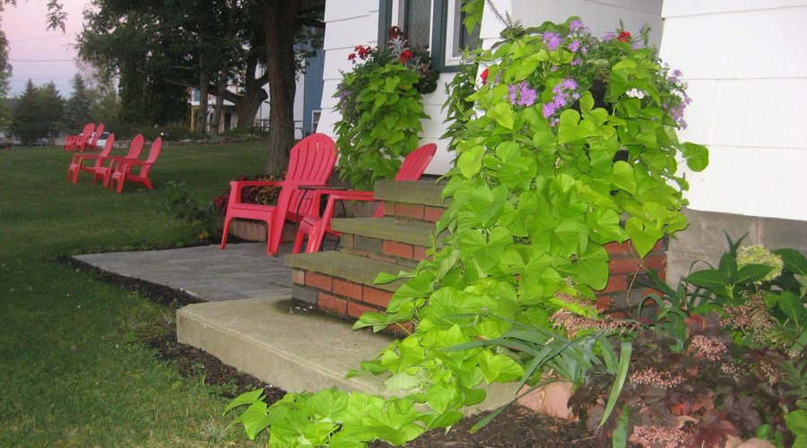 What a great summer for flowers at K's