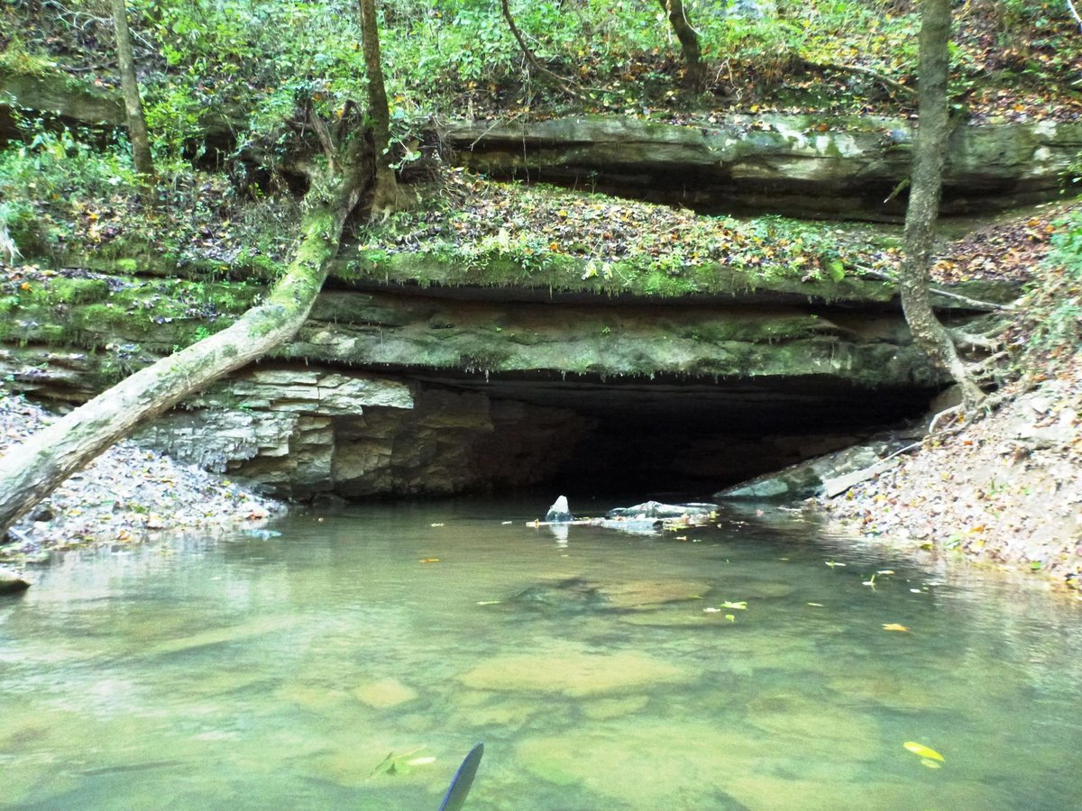 Green River (Mammoth Cave National Park) All You Need to Know BEFORE