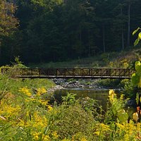 Lower Don River Trail