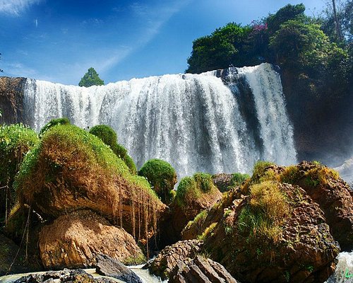 Điểm du lịch thiên nhiên: Đà Lạt là một trong những điểm du lịch thiên nhiên nổi tiếng nhất ở Việt Nam, với cảnh quan đẹp như tranh vẽ và khí hậu mát mẻ quanh năm. Đến Đà Lạt, bạn có thể khám phá nhiều địa điểm thú vị từ thác Prenn đến đồi cỏ và hồ Xuân Hương.