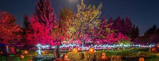 Fall Festival at the Botanical Garden