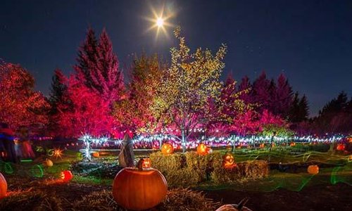 Fall Festival at the Botanical Garden