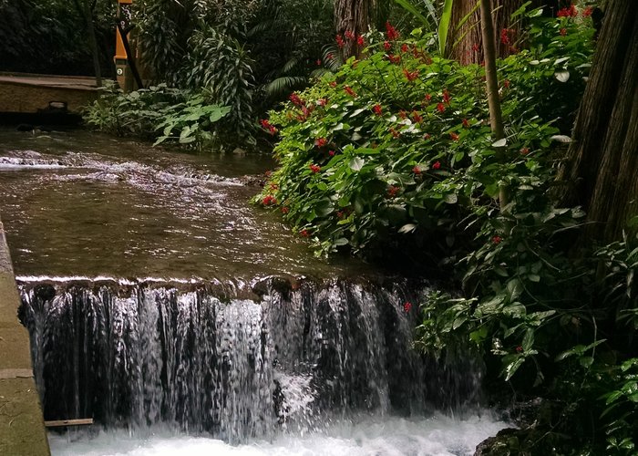 Parque Barranca Chapultepec (Cuernavaca) - All You Need to Know BEFORE You Go