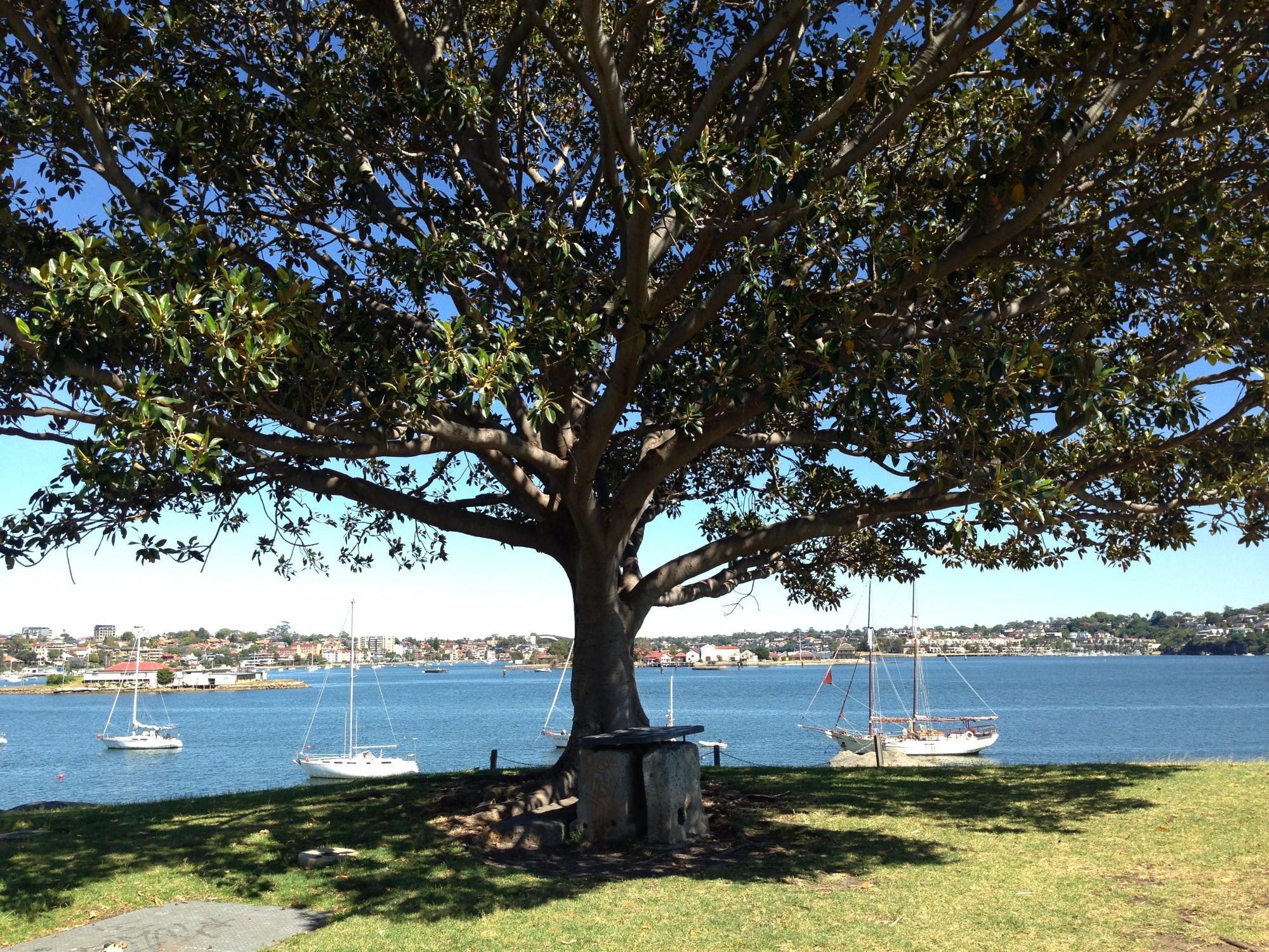 Balmain beach discount sydney