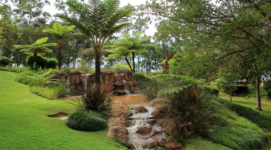 Resort Gardens