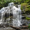 Things To Do in Yellow Branch Falls, Restaurants in Yellow Branch Falls