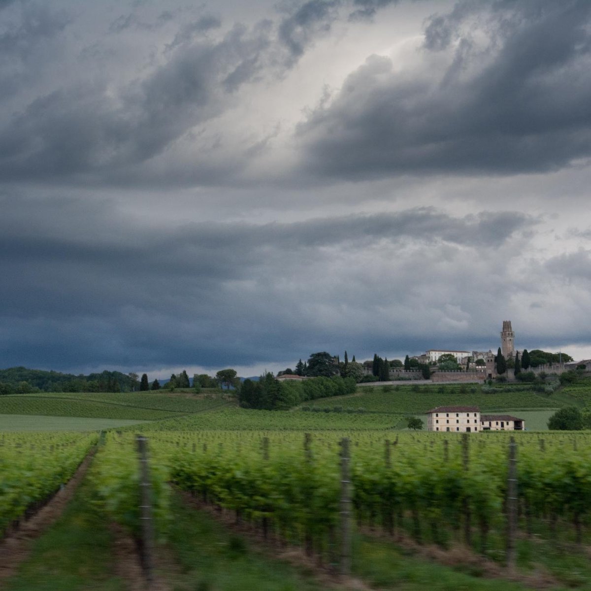 Walking the Prosecco Hills, Trekking the Prosecco Hills, Italy